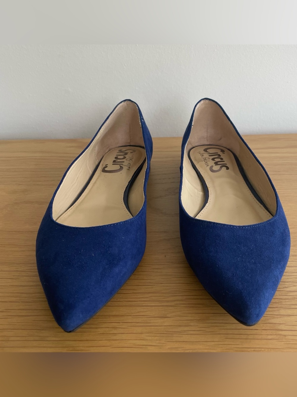 Circus by Sam Edelman Royal Blue Pointed Suede Flats